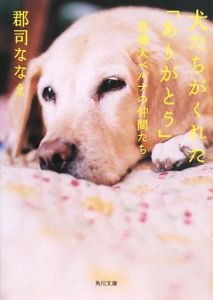 犬たちがくれた「ありがとう」 盲導犬ベルナの仲間たち