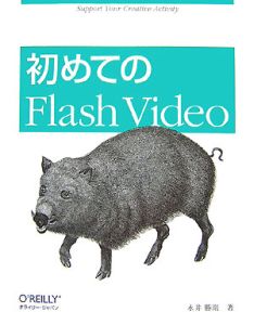 『初めてのFlash Video』永井勝則