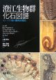 澄江生物群　化石図譜