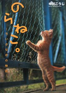 のらねこ。～ちいさな命の物語～