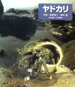 ヤドカリ 日高敏隆 本 漫画やdvd Cd ゲーム アニメをtポイントで通販 Tsutaya オンラインショッピング