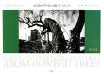 広島の声なき語りべたち　被爆樹木写真集