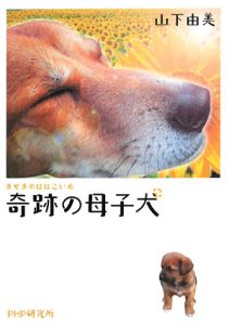 奇跡の母子犬