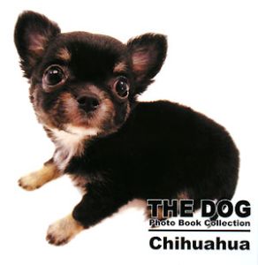 Ｃｈｉｈｕａｈｕａ