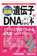 ポケット図解・遺伝子とDNAがよ〜くわかる本