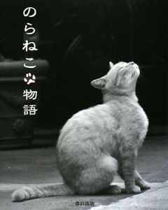 のらねこ物語