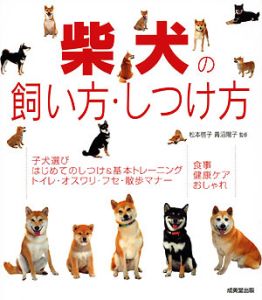 柴犬の飼い方・しつけ方