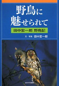 野鳥に魅せられて