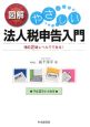 図解・やさしい法人税申告入門　平成21年