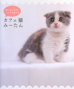 カフェ猫みーたん