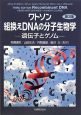 ワトソン　組換えDNAの分子生物学＜第3版＞