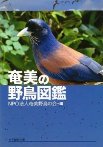 奄美の野鳥図鑑