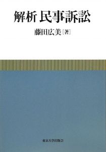 解析　民事訴訟