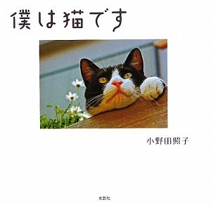 僕は猫です