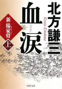 血涙 新楊家将(上)