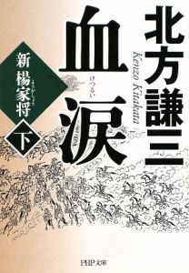 血涙 新楊家将(下)