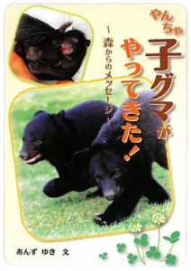 やんちゃ子グマがやってきた!