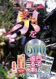 きょうを500円で巡る本＜最新版＞　2009