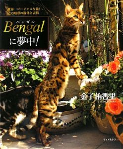 Ｂｅｎｇａｌに夢中！