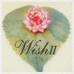 ＷＩＳＨ　ＩＩ