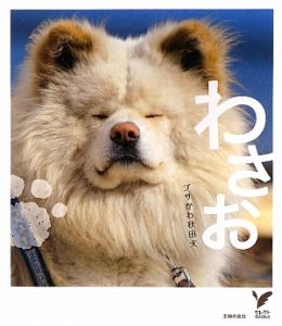 ブサかわ秋田犬　わさお