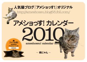 アメショっす！カレンダー　２０１０