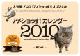 アメショっす！カレンダー　2010