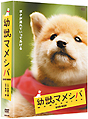 幼獣マメシバ　DVD－BOX