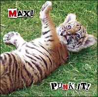 ＰＵＮＫ　ＩＴ！ＭＡＸ！ＬＩＭＩＴＥＤ　ＥＤＩＴＩＯＮ