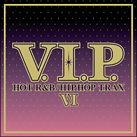 Ｖ．Ｉ．Ｐ．－ホット・Ｒ＆Ｂ／ヒップホップ・トラックス６－