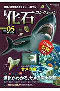 月刊　化石コレクション　サメの歯