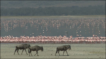 世界のエコツアーへようこそ～地球を感じる旅～　アフリカ大陸編