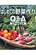 はじめての野菜作りQ＆A