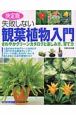 失敗しない観葉植物入門