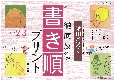 陰山メソッド徹底反復「新・書き順プリント」1・2・3年