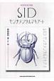 SID／センチメンタルマキアート