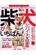 柴犬がいちばん！