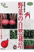 写真で見る野菜の自然栽培