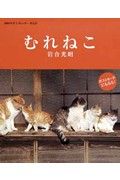 むれねこ卓上カレンダー　２００８