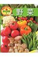 野菜　食育にやくだつ食材図鑑1