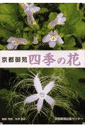 京都御苑四季の花