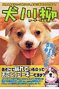 犬川柳　コーギーの逆襲