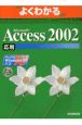 Microsoft　Access2002応用