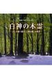 白神の木霊CD（2枚組）　NHKサウンドスケープ