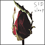 sleep（A）(DVD付)