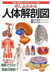 ぜんぶわかる 人体解剖図/坂井建雄 - 販売書籍｜TSUTAYA レンタル