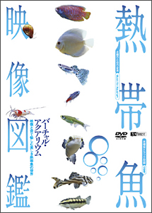シンフォレストＤＶＤ　熱帯魚映像図鑑　バーチャル・アクアリウム　映像と音で愉しむ美しき熱帯魚の世界