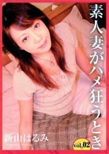 素人妻がハメ狂うとき vol.02