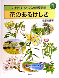 花のあるけしき　花のつくりとしくみ観察図鑑１