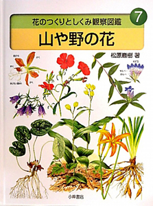 山や野の花　花のつくりとしくみ観察図鑑７